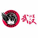 武汉盛帆女篮